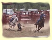 Rodeo at Cimarron